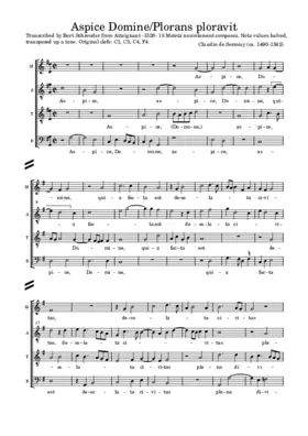 Aspice Domine - Plorans ploravit