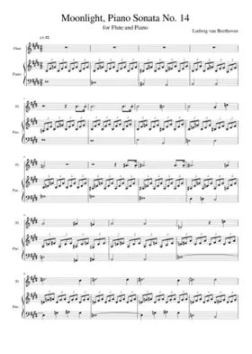 Piano Sonata No.14 Op.27 No.2