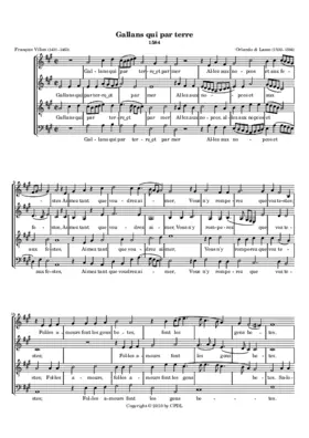 Gallans qui par terre