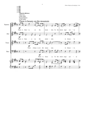 There is beauty on the mountain