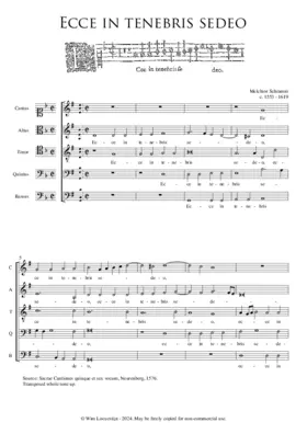 Ecce in tenebris sedeo