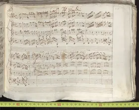 Concerto for Strings in F major