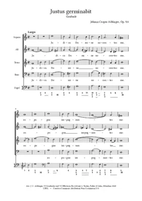 Judica Domine, Op. 9, No. 6