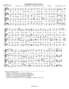 Solitude in the Grove