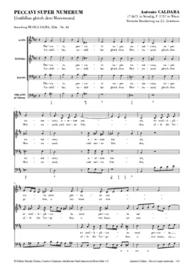 Peccavi super numerum