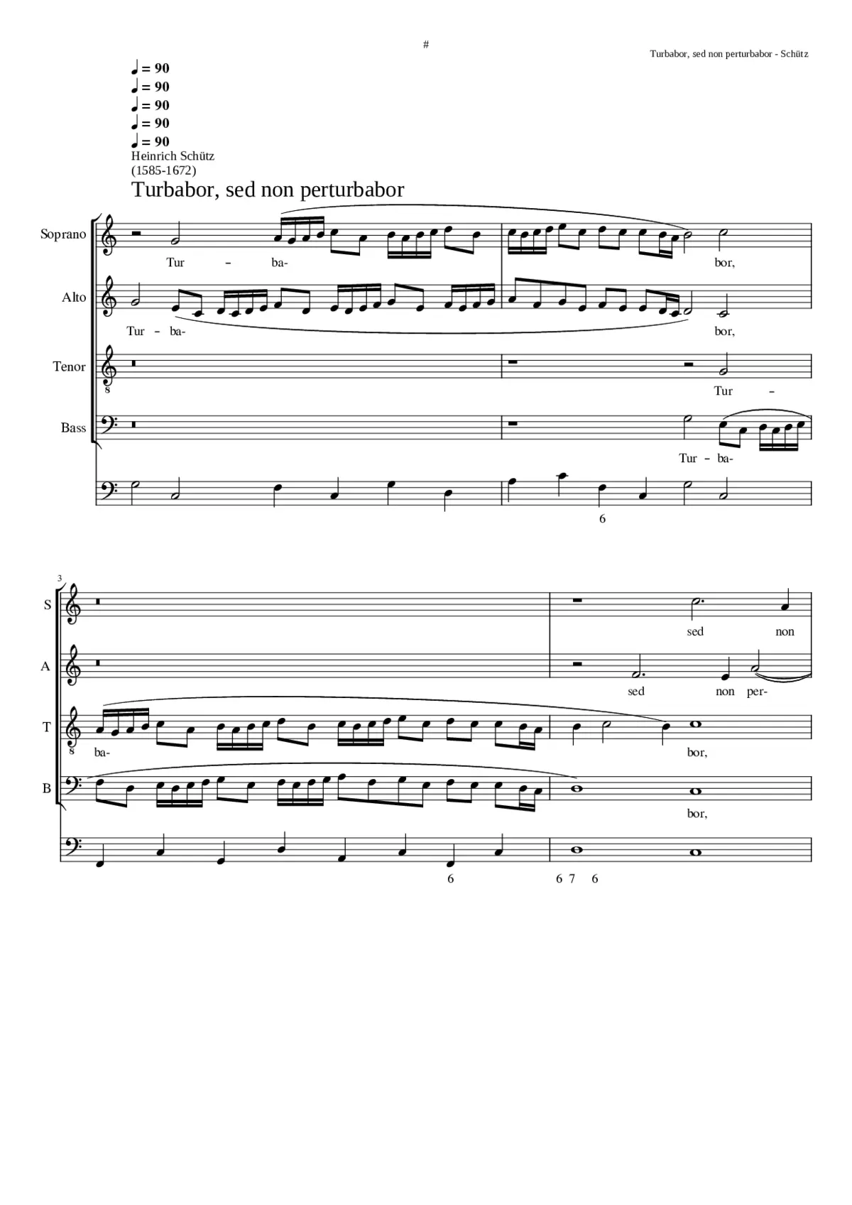 Turbabor sed non perturbabor SWV 70 - Page 1