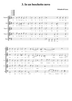 In un boschetto novo