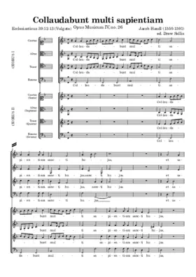 Collaudabunt multi sapientiam