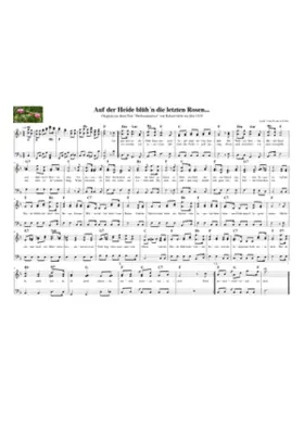 auf der heide blühn die letzten rosen