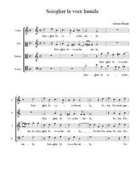 Scioglier la voce humile
