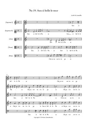 Son sì belle le rose