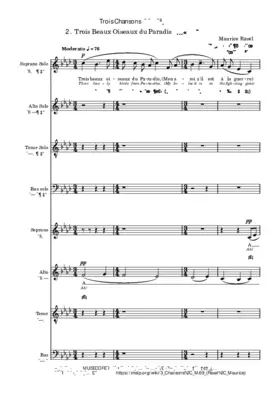 Trois beaux oiseaux du Paradis