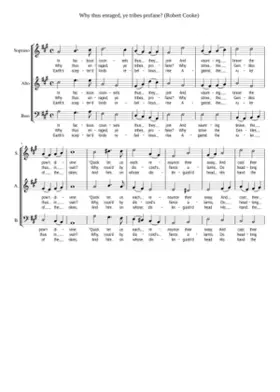 Why thus enraged ye tribes profane?