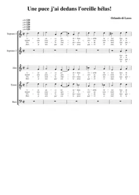 Une puce j'ai dedans l'oreille hélas!