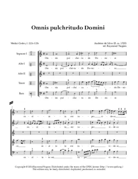 Omnis pulchritudo Domini