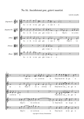 Ancidetemi pur, grievi martiri