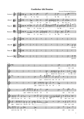 Confitebor tibi Domine a 8
