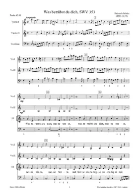 Was betrübst du dich, meine Seele, SWV 353