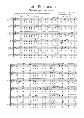 Schweigen: Nun um mich her die Schatten steigen