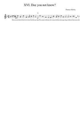 XVI. Doe you not know?