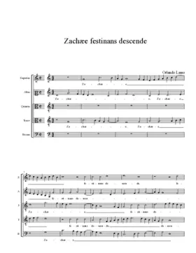 Zachæe festinans descende