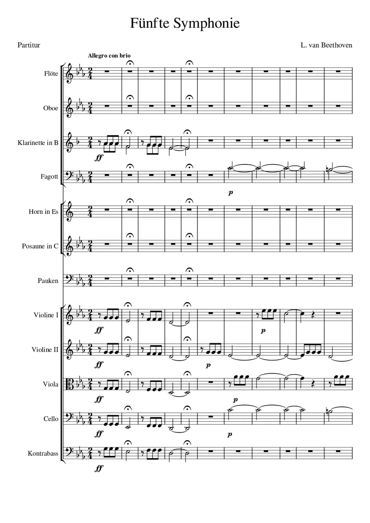 Symphony No.5 Op.67 - Page 1