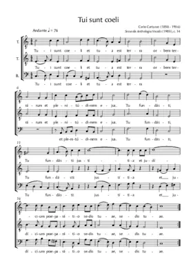 Tui sunt coeli