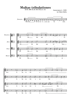 Multae tribulationes