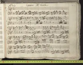 La farfalletta s'aggira