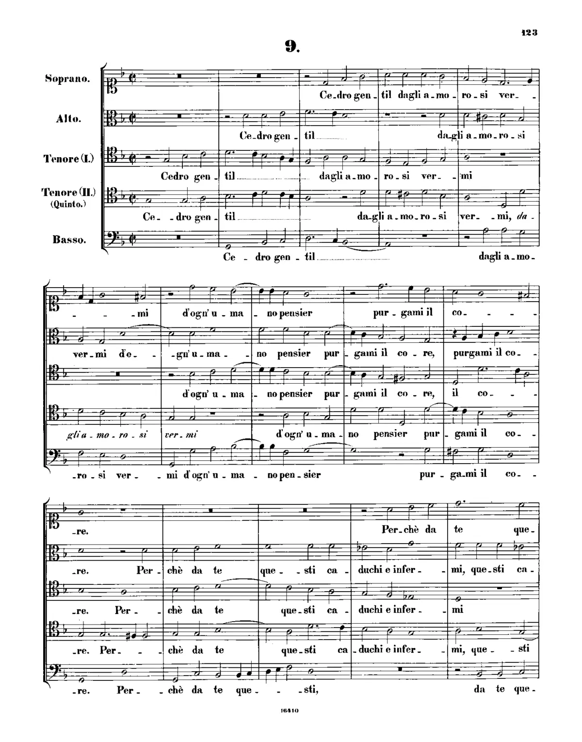 Cedro gentil - Page 1