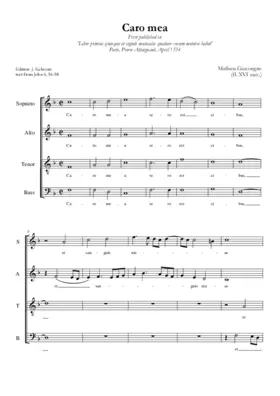 Caro mea
