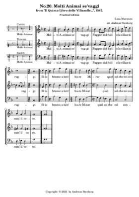 Molti Animai selvaggi