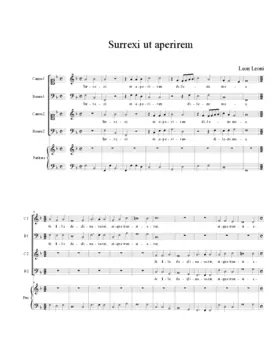 Surrexi ut aperirem