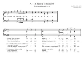 A - 12. neděle v mezidobí