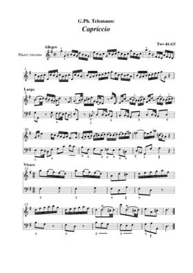 Capriccio à Flauto traverso