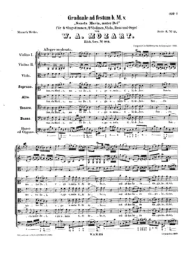 Sancta Maria, mater Dei