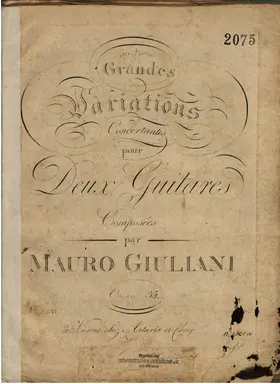 Grandes variations concertantes