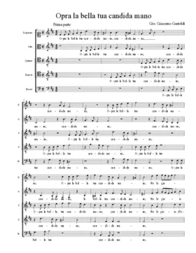 Opra la bella tua candida mano