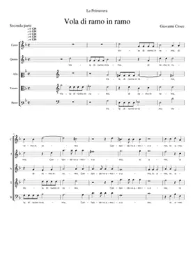 Vola di ramo in ramo