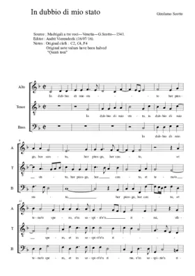 In dubbio di mio stato