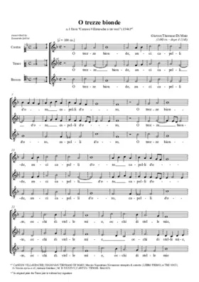 O trezze bionde anzi capelli d’oro