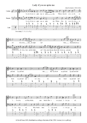 Lady if you so spite me