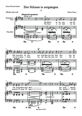 Der Schnee ist zergangen