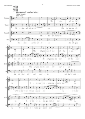 Madonna'l tuo bel viso