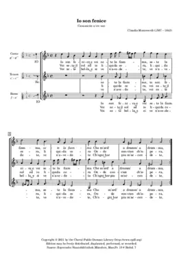 Io son fenice e voi sete la fiamma