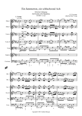 Ein Jammerton, ein schluchzend Ach
