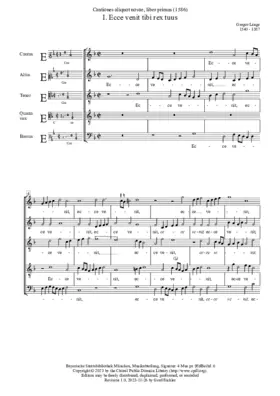 Ecce venit tibi rex tuus