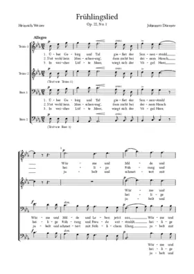 Frühlingslied: Über Gebirg und Tal