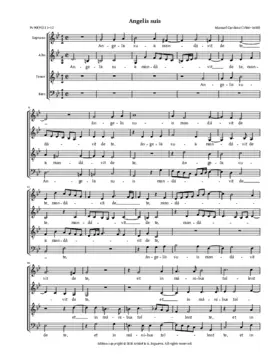 Angelis suis mandavit de te