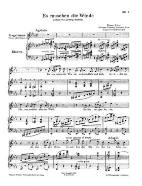 Es rauschen die Winde